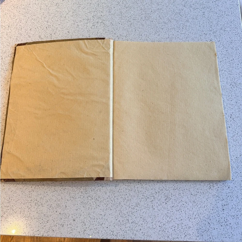 Vintage PALM Tree Keepsake Album Souvenier Hawaii Made with Leaves & Bark - Picture 4 of 6